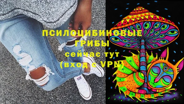 ГАЛЛЮЦИНОГЕННЫЕ ГРИБЫ Алзамай