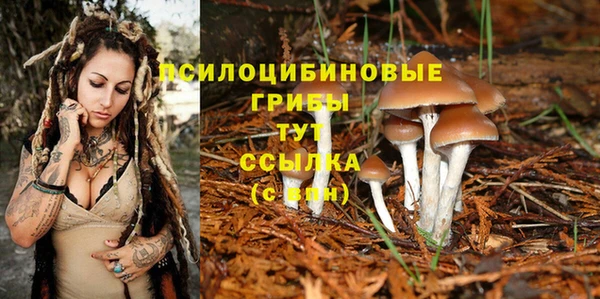 ГАЛЛЮЦИНОГЕННЫЕ ГРИБЫ Алзамай