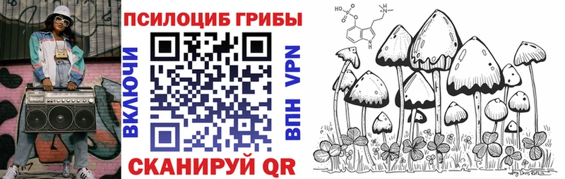 Галлюциногенные грибы GOLDEN TEACHER где купить наркоту Луза